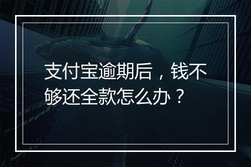 支付宝逾期后，钱不够还全款怎么办？