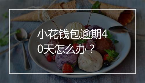 小花钱包逾期40天怎么办？