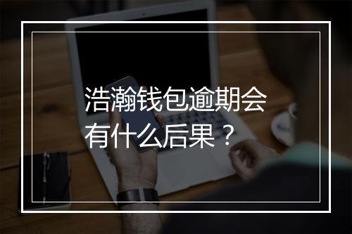浩瀚钱包逾期会有什么后果？
