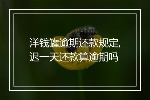 洋钱罐逾期还款规定,迟一天还款算逾期吗