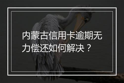 内蒙古信用卡逾期无力偿还如何解决？