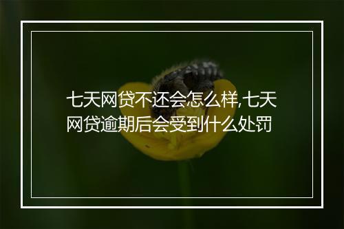 七天网贷不还会怎么样,七天网贷逾期后会受到什么处罚
