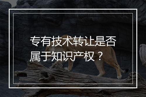 专有技术转让是否属于知识产权？