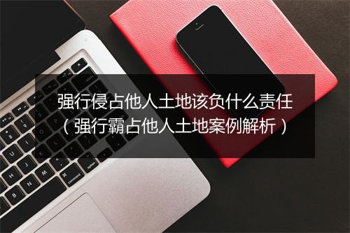 强行侵占他人土地该负什么责任（强行霸占他人土地案例解析）