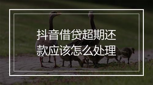 抖音借贷超期还款应该怎么处理