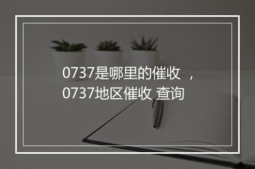0737是哪里的催收 ，0737地区催收 查询