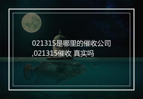 021315是哪里的催收公司,021315催收 真实吗