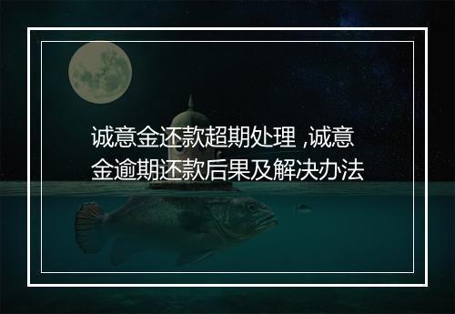 诚意金还款超期处理 ,诚意金逾期还款后果及解决办法