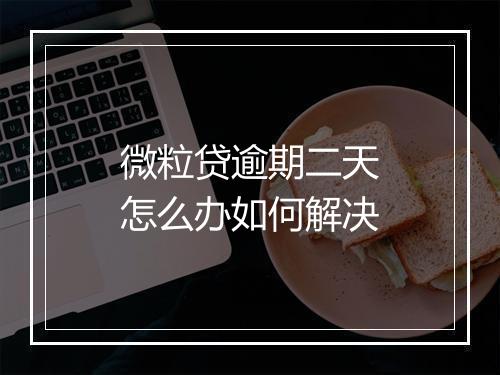 微粒贷逾期二天怎么办如何解决