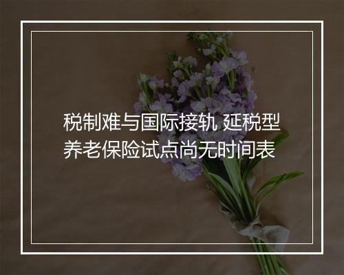 税制难与国际接轨 延税型养老保险试点尚无时间表