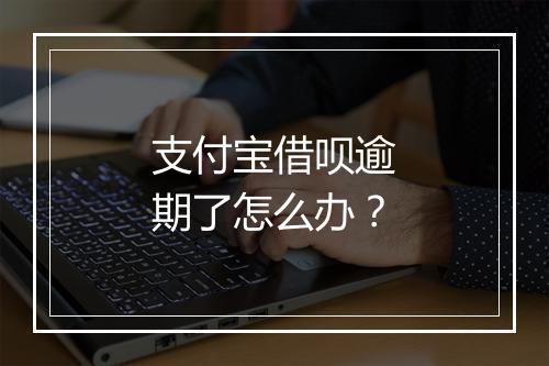 支付宝借呗逾期了怎么办？