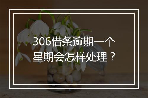 306借条逾期一个星期会怎样处理？