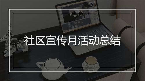 社区宣传月活动总结