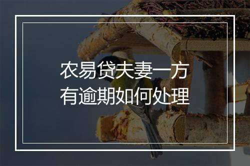 农易贷夫妻一方有逾期如何处理