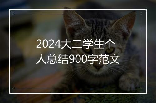 2024大二学生个人总结900字范文