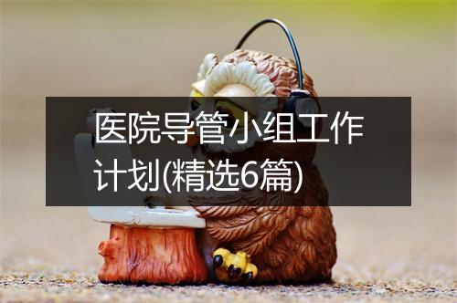 医院导管小组工作计划(精选6篇)
