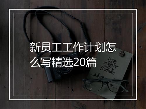 新员工工作计划怎么写精选20篇
