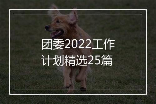 团委2022工作计划精选25篇