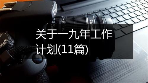 关于一九年工作计划(11篇)