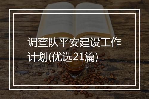 调查队平安建设工作计划(优选21篇)