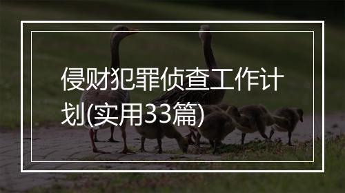 侵财犯罪侦查工作计划(实用33篇)