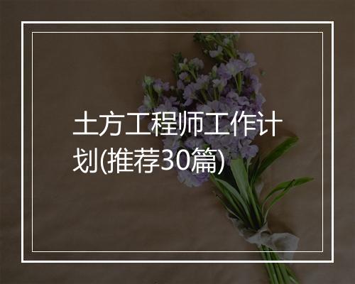 土方工程师工作计划(推荐30篇)