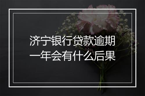 济宁银行贷款逾期一年会有什么后果