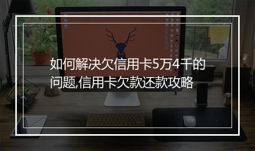 如何解决欠信用卡5万4千的问题,信用卡欠款还款攻略