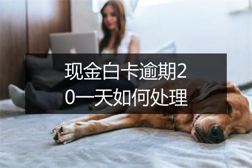 现金白卡逾期20一天如何处理