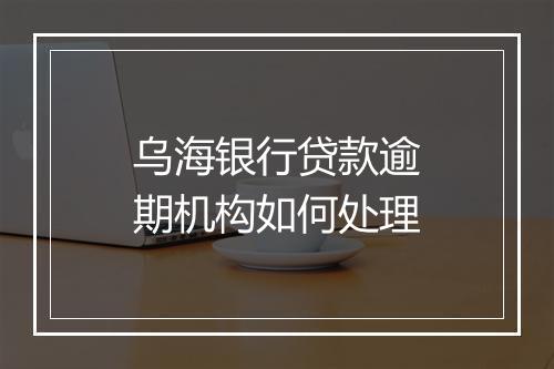 乌海银行贷款逾期机构如何处理