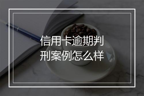 信用卡逾期判刑案例怎么样