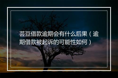 芸豆借款逾期会有什么后果（逾期借款被起诉的可能性如何）