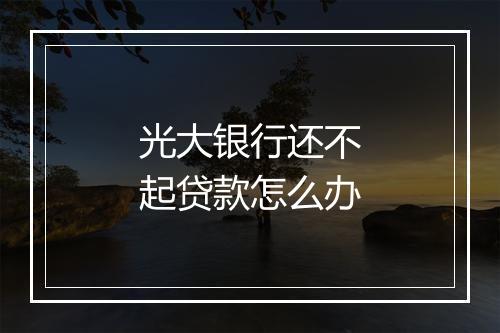 光大银行还不起贷款怎么办