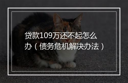 贷款109万还不起怎么办（债务危机解决办法）