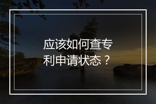 应该如何查专利申请状态？