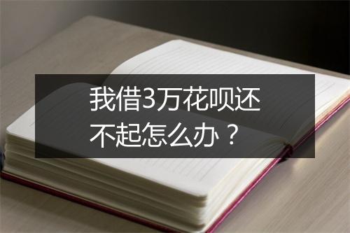 我借3万花呗还不起怎么办？