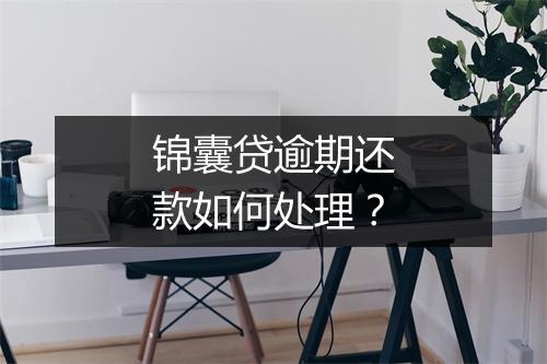 锦囊贷逾期还款如何处理？