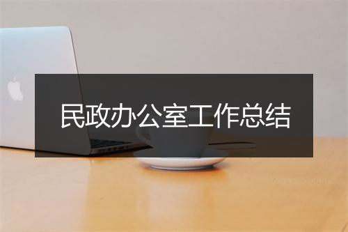 民政办公室工作总结