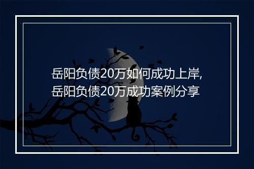 岳阳负债20万如何成功上岸,岳阳负债20万成功案例分享