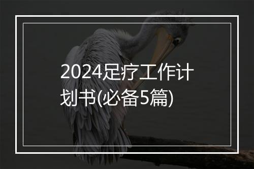 2024足疗工作计划书(必备5篇)
