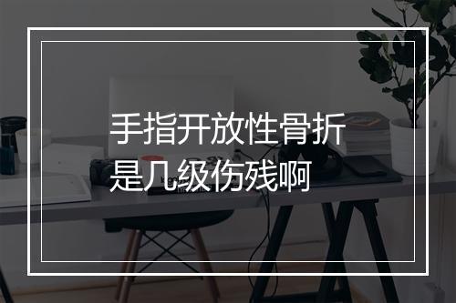 手指开放性骨折是几级伤残啊