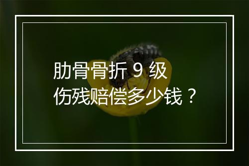 肋骨骨折 9 级伤残赔偿多少钱？