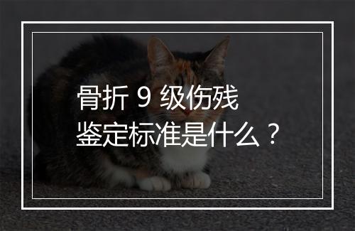 骨折 9 级伤残鉴定标准是什么？