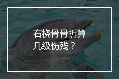 右桡骨骨折算几级伤残？