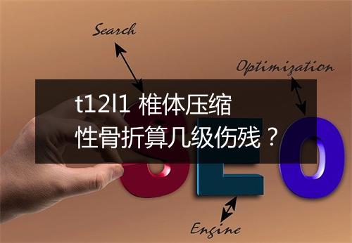 t12l1 椎体压缩性骨折算几级伤残？