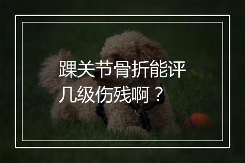 踝关节骨折能评几级伤残啊？