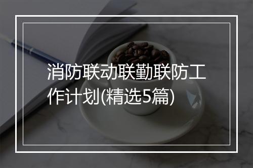 消防联动联勤联防工作计划(精选5篇)
