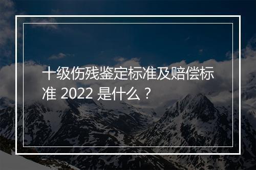 十级伤残鉴定标准及赔偿标准 2022 是什么？