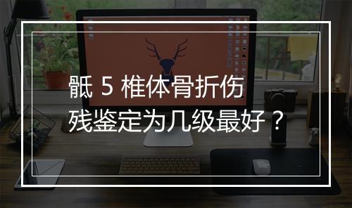 骶 5 椎体骨折伤残鉴定为几级最好？