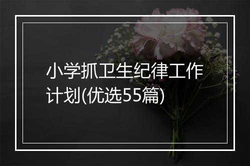 小学抓卫生纪律工作计划(优选55篇)